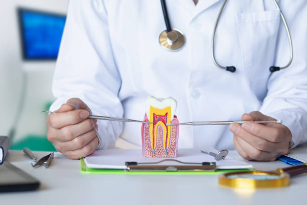Best Emergency Dentist for Lost Fillings or Crowns in Justice, OK